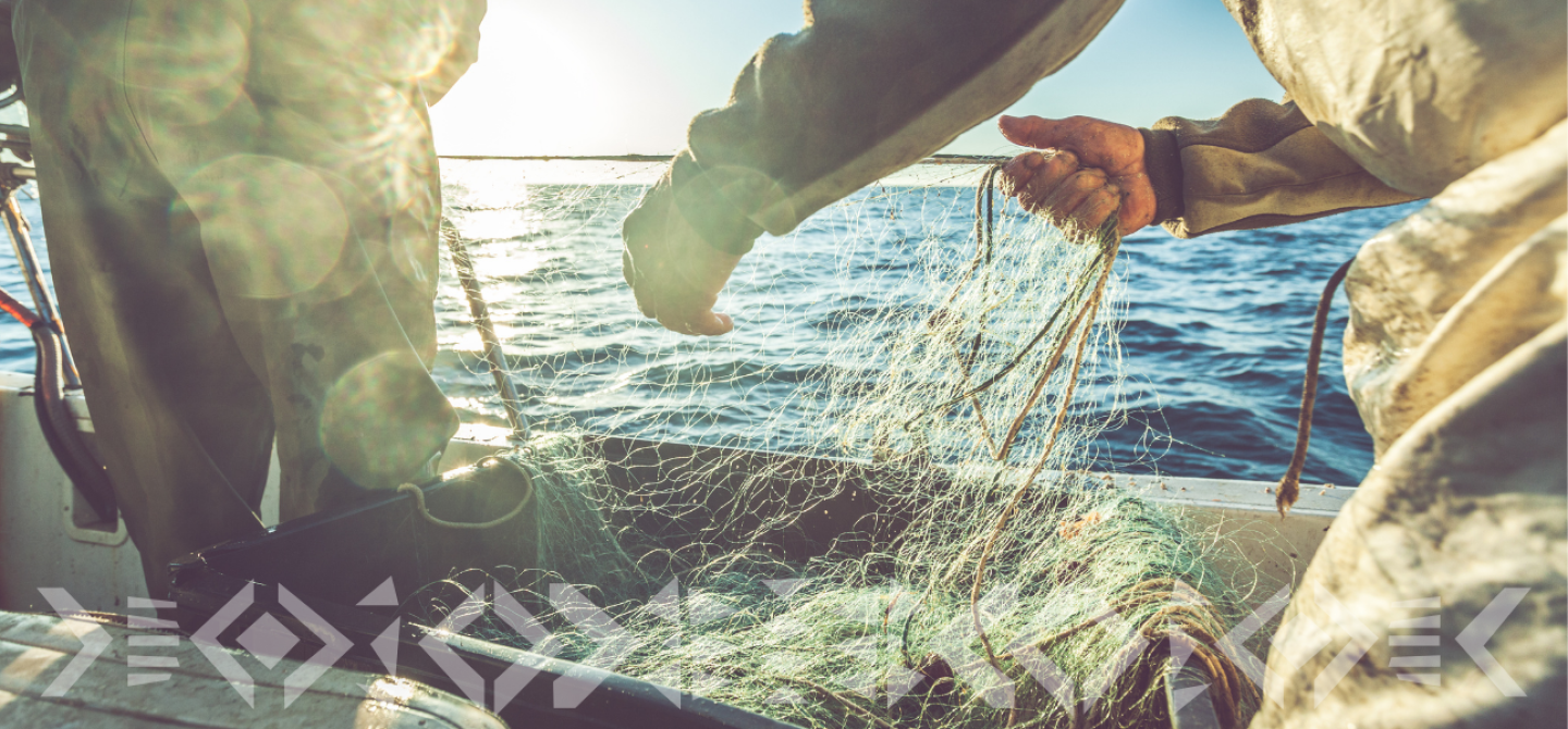 KImanga Experiências Locais