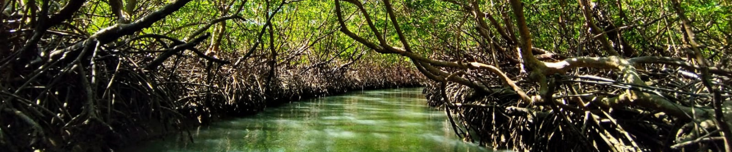 Moitas Encantos Passeios
