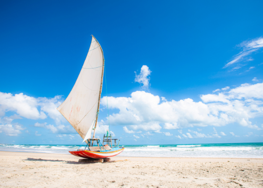Cansado do Roteiro Turístico Comum?