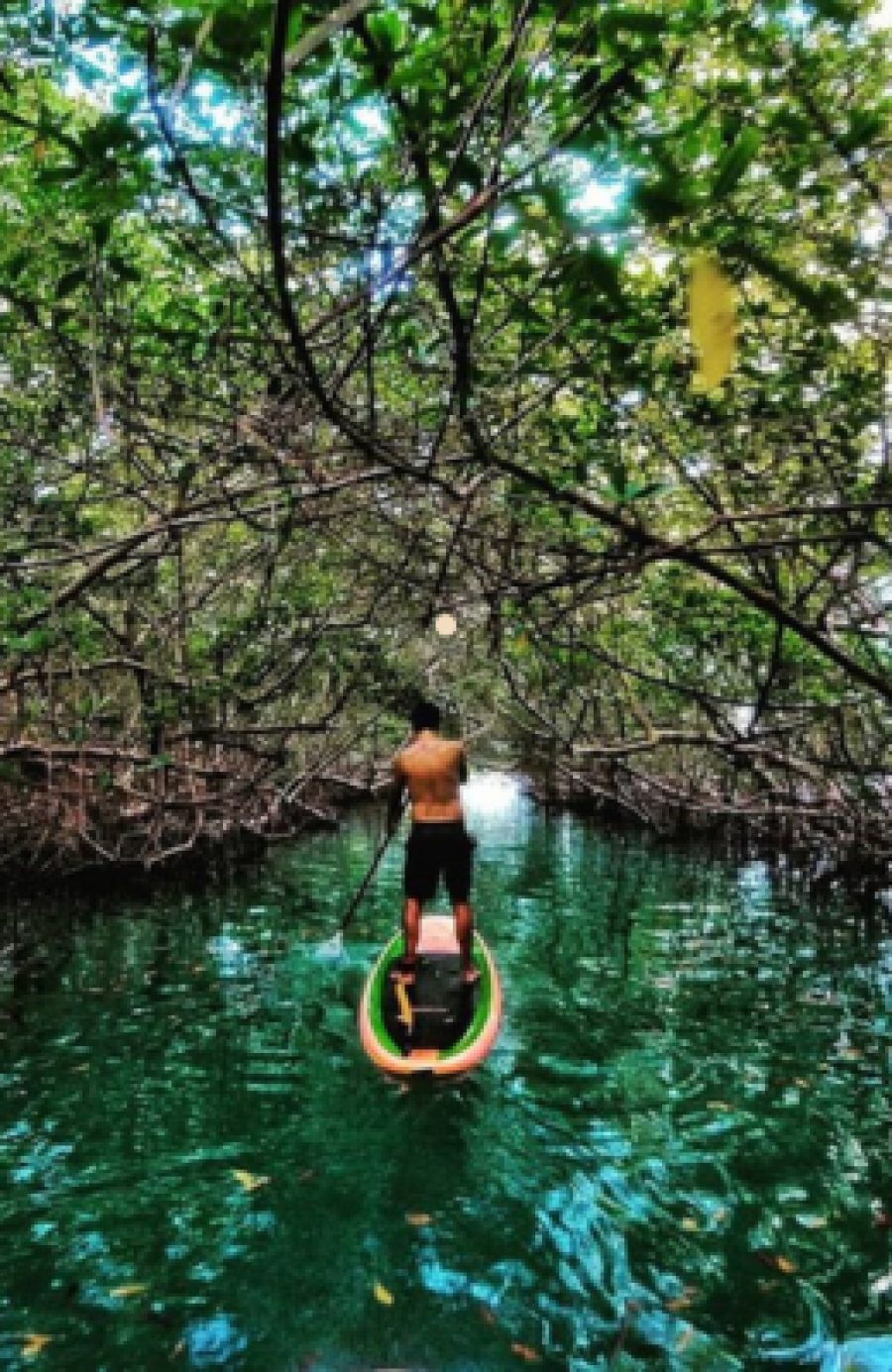 Stand-up Paddle e Caiaque