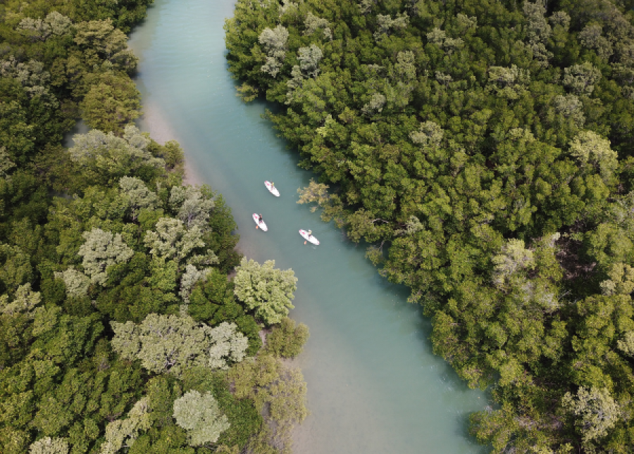 Stand-up Paddle e Caiaque