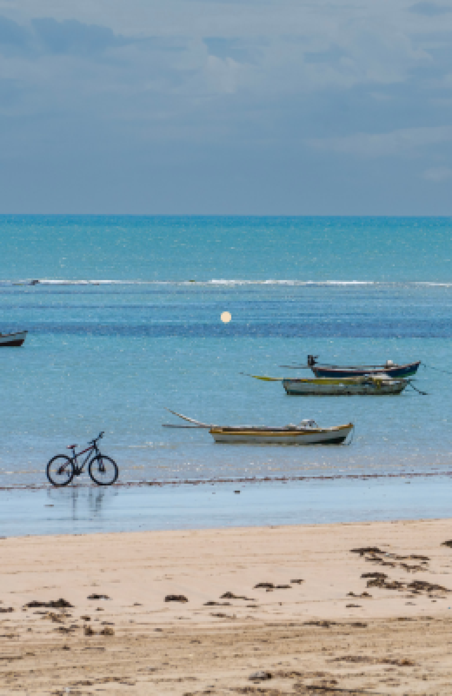 Passeios de Bicicleta