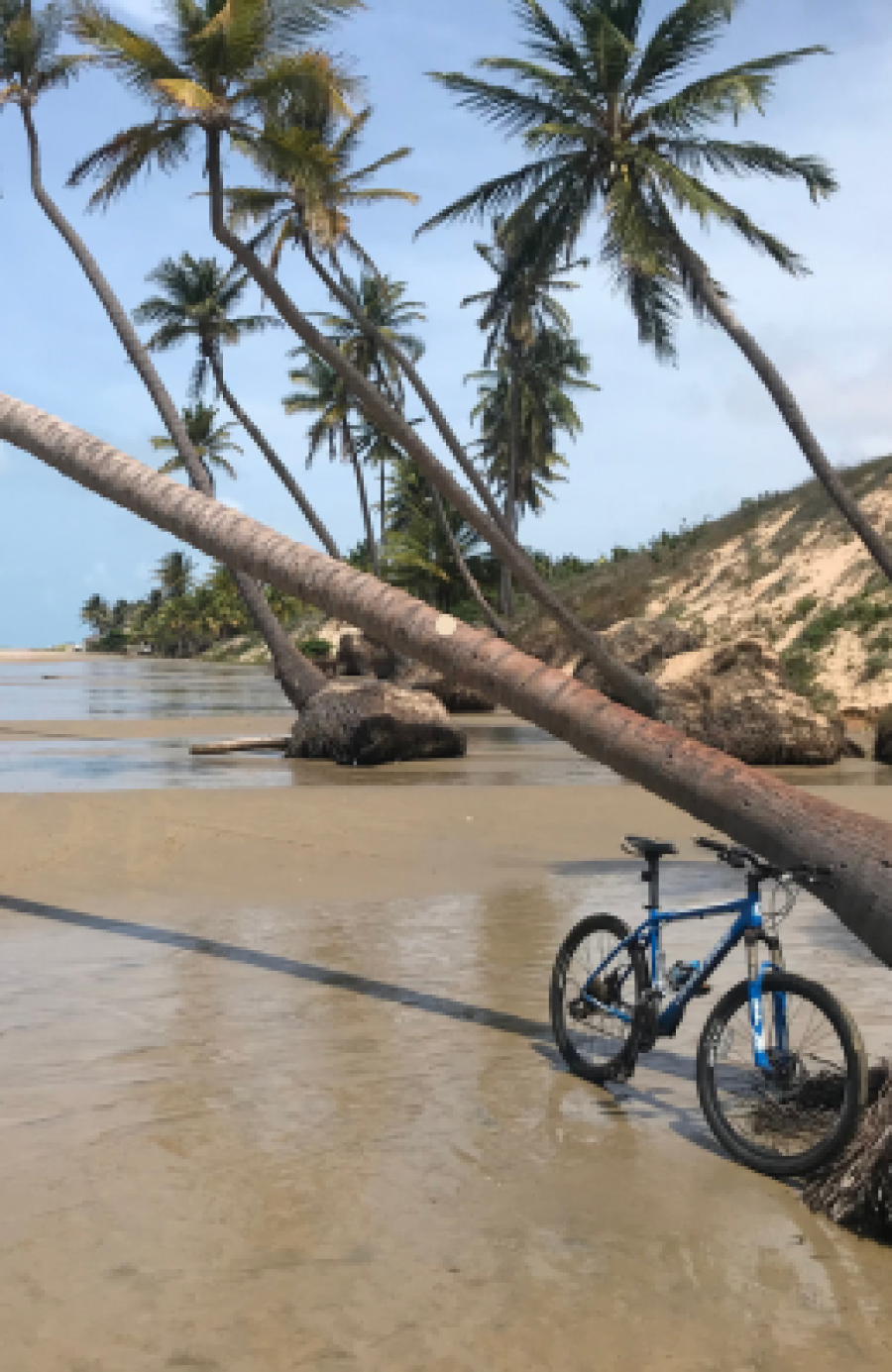 Passeios de Bicicleta