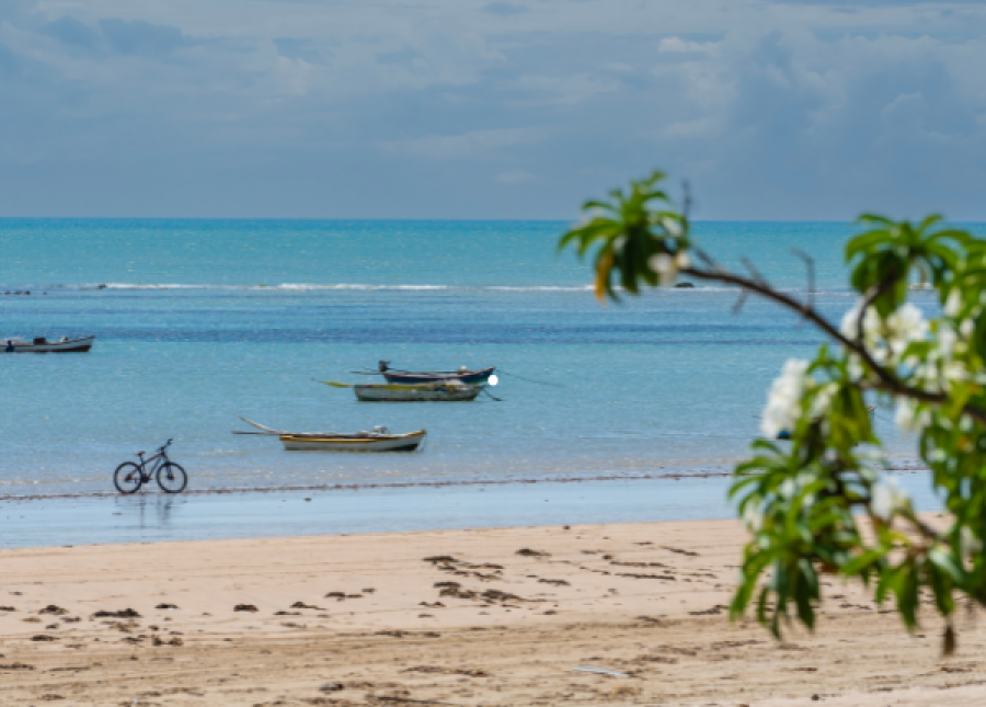 Passeios de Bicicleta